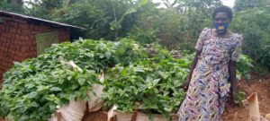 An AVEGA-Agahozo member receives a Kitchen Garden to help ensure a regular supply of food during the COVID-19 restrictions